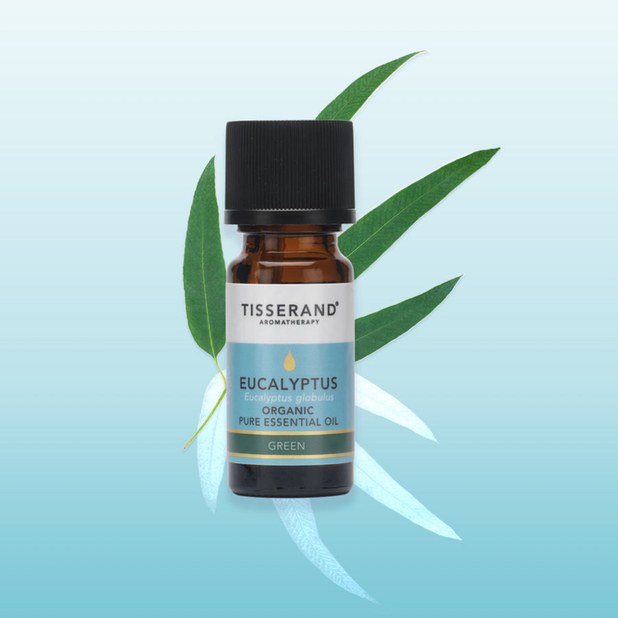 Eucalyptus Organic Essential Oil
